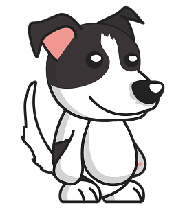 PATCH the support Dog